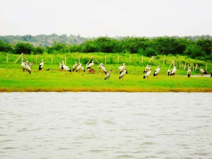 Damdama Lake in Gurgaon