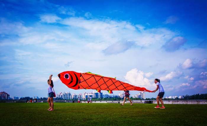Kids flying a squid and fish kite at Marina Barrage