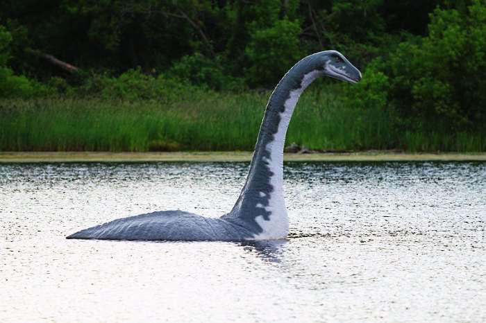 Lake Loch Ness Monster - Nessie