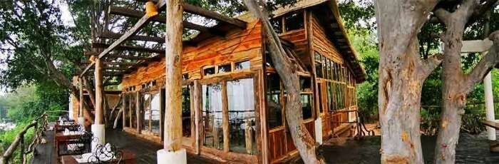 Maneland Jungle Lodge is one of the best jungle resorts in India
