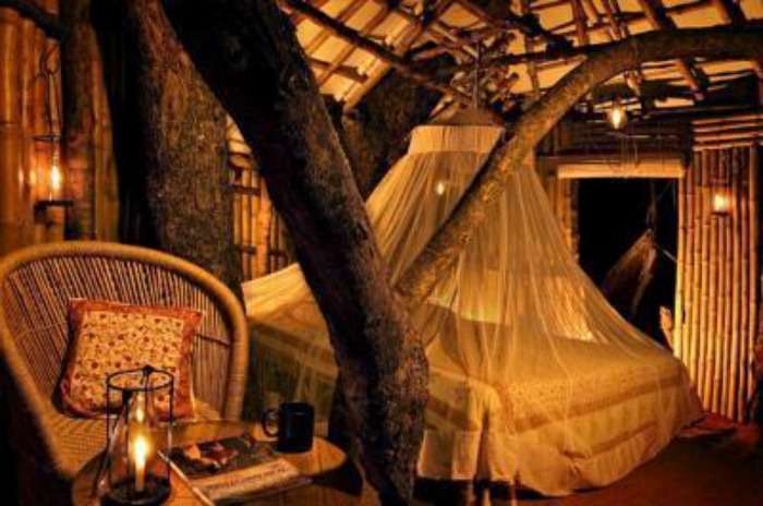 A treehouse in Wild Canopy Nature Reserve in Mudumalai
