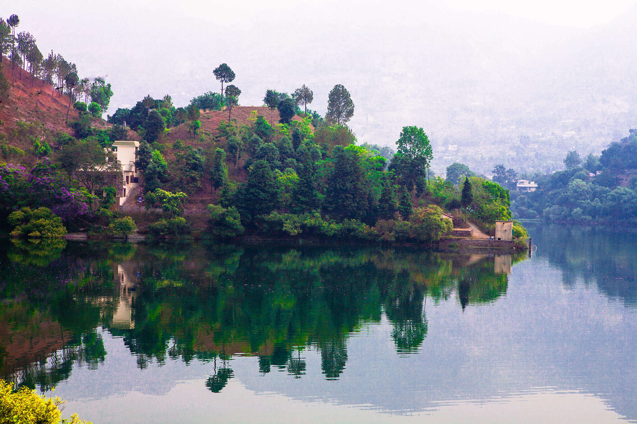 Reflection of trees on a beautiful lake