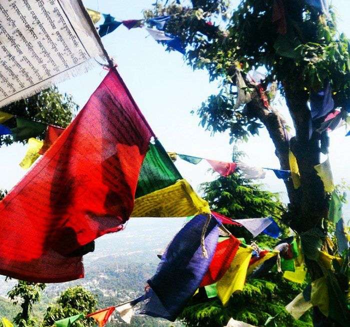 Positive vibes in Mcleodganj