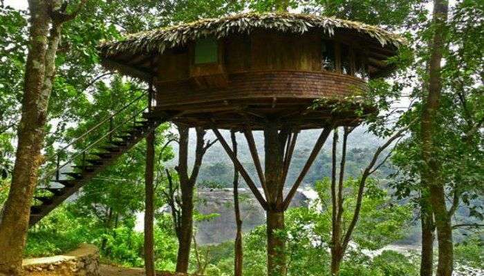 The Rainforest Resort offering bird’s eye view of the Athirapally falls