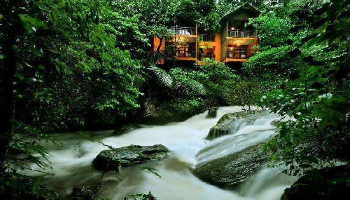 The gorgeous views of Vythiri Resort in Kerala which features a child friendly treehouse too
