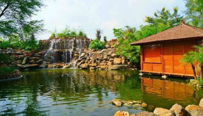 11 Amazing Tree Houses In India Treat For Your Younger Self