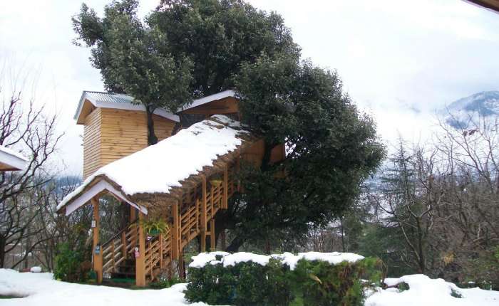 Treehouse cottages in Manali
