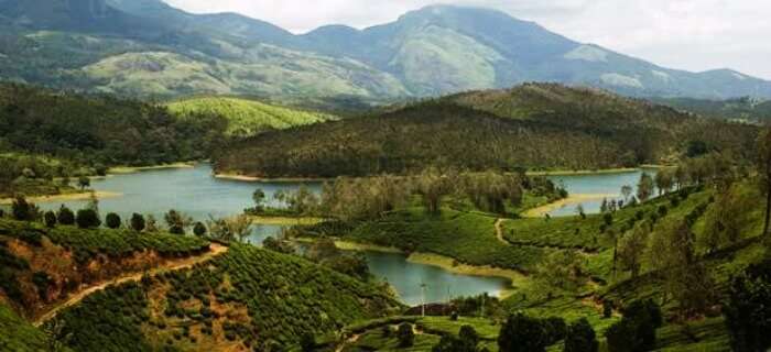 Yelagiri Hills is an amazing picnic spot near Bangalore