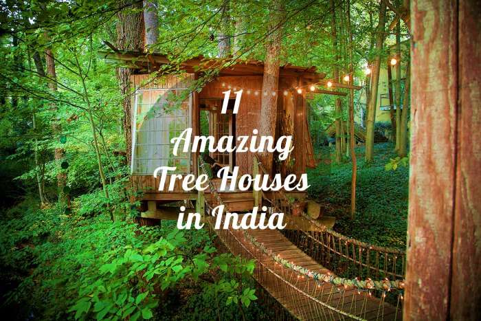 Triangle Floor Tree House 11 Amazing Tree Houses in India Treat for your younger self 