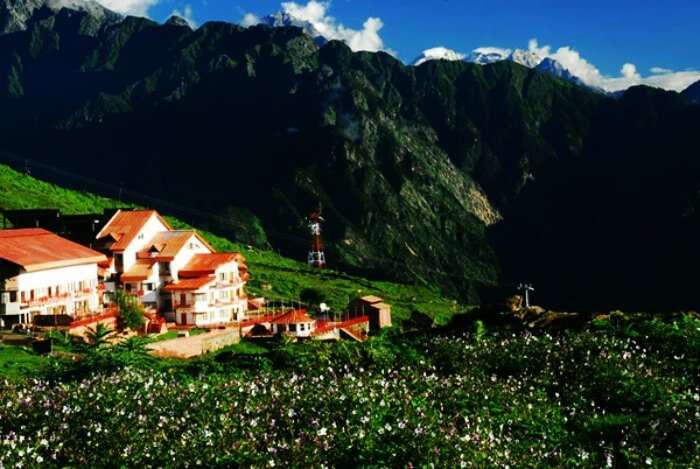 The beautiful valley of Auli - a must visit destination in Uttarakhand