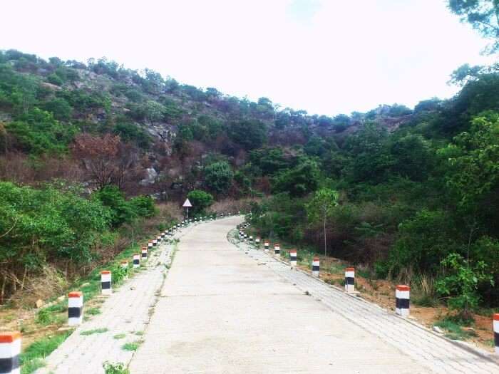 Avalabetta hill station near Bangalore