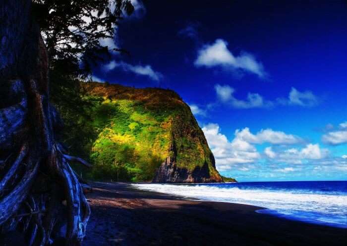 A serene beach in Hawaii