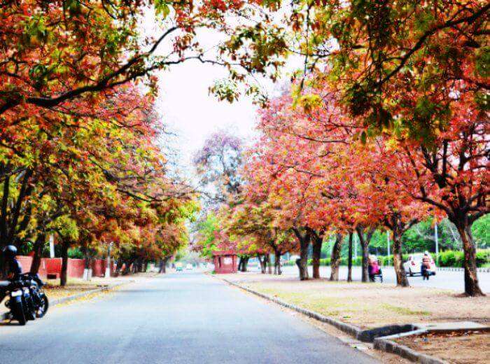 Chandigarh, the cleanest city in India