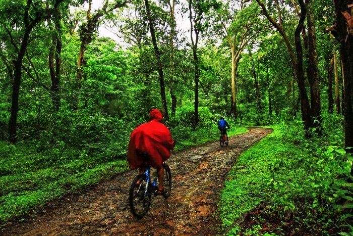 Coorg-to-Munnar is one of the most scenic cycling routes in India