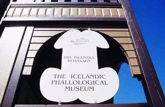 Icelandic Phallological Museum, Iceland