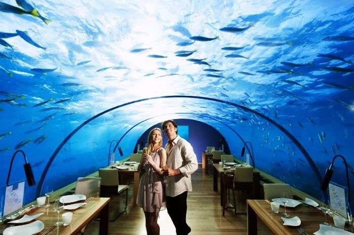Dining at Ithaa Underwater Aquarium Restaurant is one of the most fun things to do in Maldives