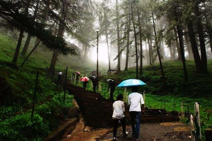 Travelers trekking upto the Jakhoo hills in Shimla