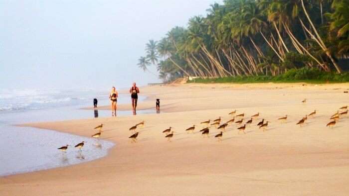 Koggala beach in Sri Lanka