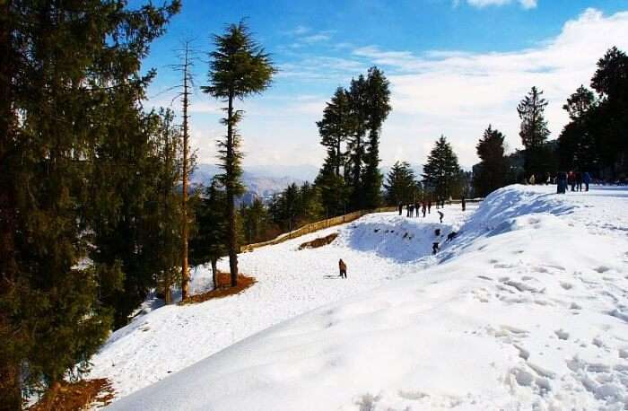 Kufri is a one of the many popular places to visit in Shimla in July