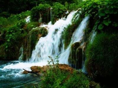 Amongst the many waterfalls near Delhi, a visit to the gorgeous Rahala falls is a must!