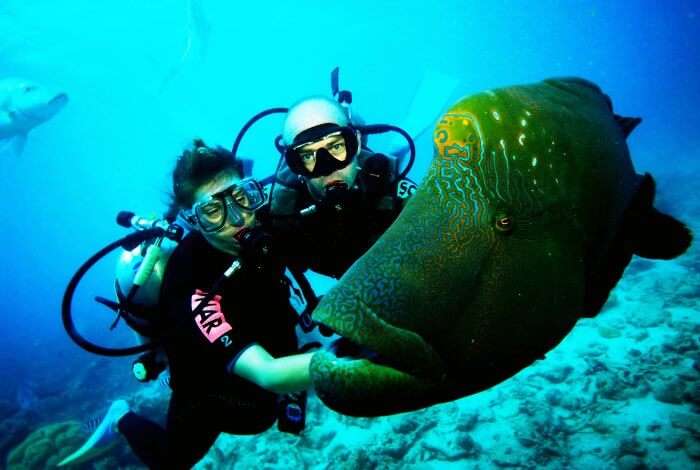 Amongst the many exciting things to do in Maldives, go Scuba diving with your partner for a thrilling experience