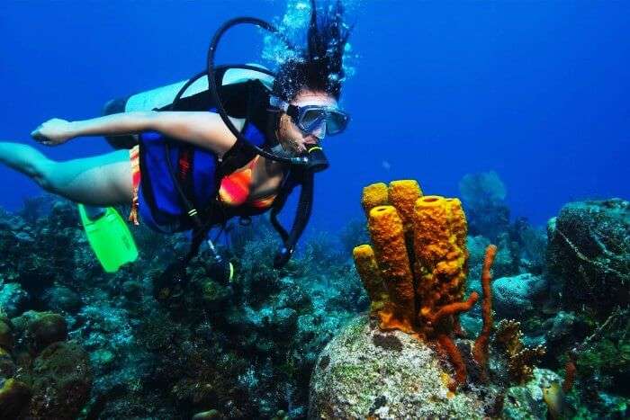 Scuba Diving in Maldives, attracts plethora of divers and first timers to its exquisite coral beauty