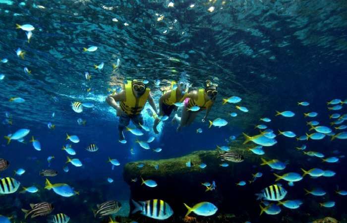 Snorkel over a colourful coral reef at one of the best adventurous places in Singapore is the Cove Waterpark