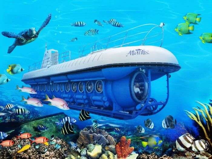 A Submarine ride is one of the most fun things to do in Maldives