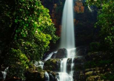 One of the most beautiful waterfalls around Hyderabad, Talakona are a must visit during monsoon.