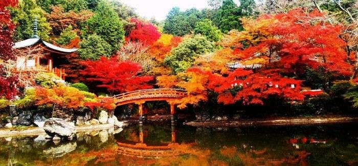 Kyoto in Japan is the most beautiful place to wake up on your first anniversay