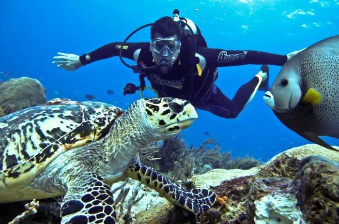 scuba diving in Andaman