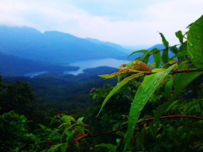 Mollem National Park, an awesome place to visit in goa during monsoon