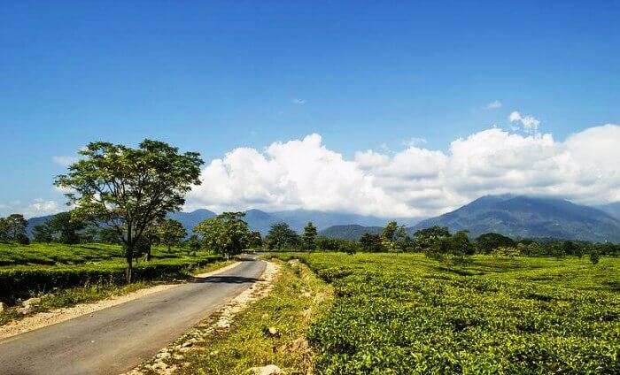 Alipurduar in West Bengal