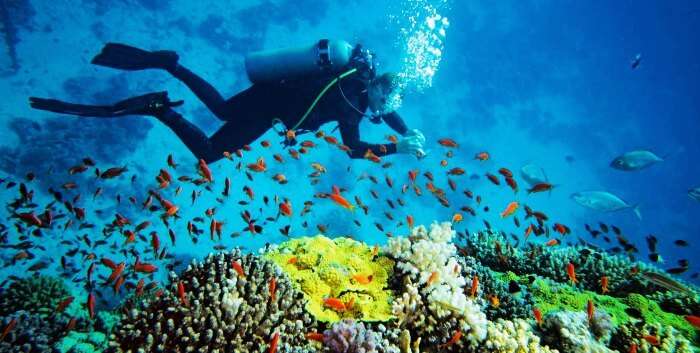 Andaman islands in India are amongst the best places in the world to scuba dive