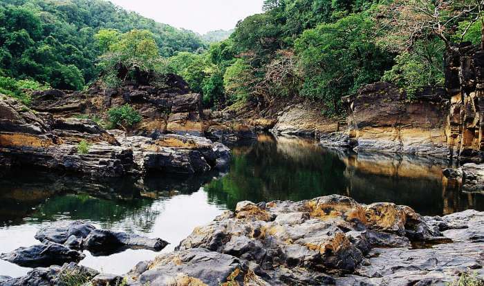 A lake in Cotigao Wildlife Sanctuary