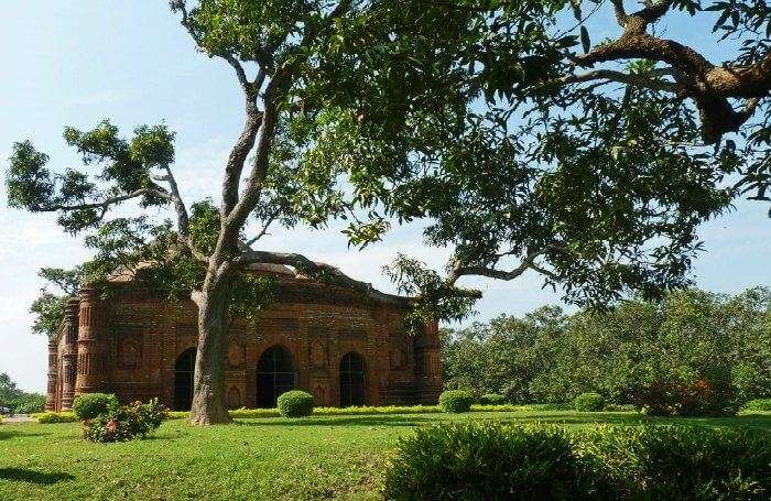 Garden in Malda