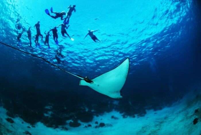 Divers in the Great Blue Hole in Belize