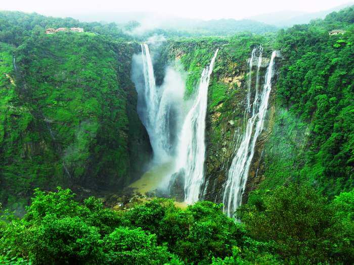 Jog falls are the majestic and one of the most popular waterfalls near Bangalore & in India