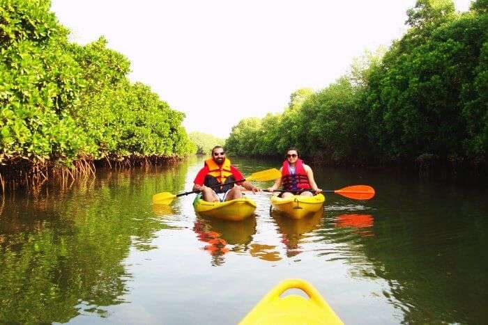 A couple Kayaking in the backwaters of Goa