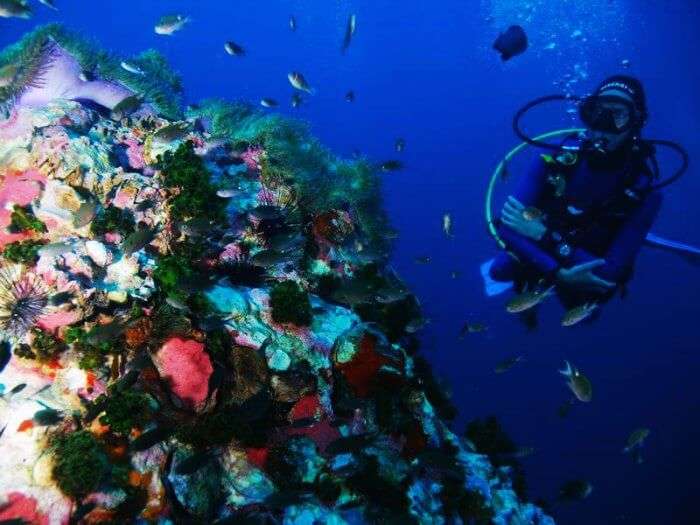 Koh Tao in Thailand is one of the best scuba diving spots in the world