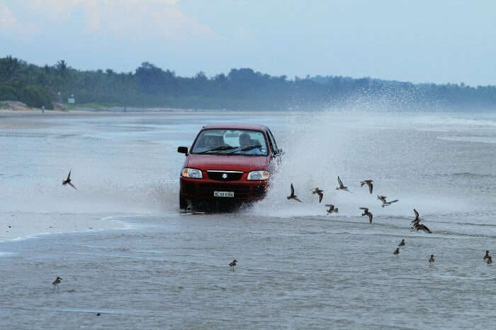 The only drive-in beach in India, Muzhappilangad Beach in Kerala