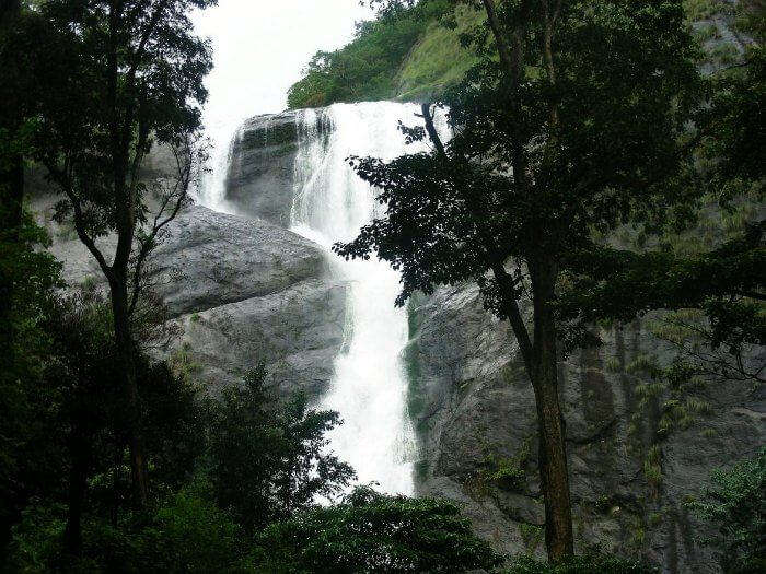 The milky stream of Palaruvi is the best waterfall in Kerala serving as a natural pool for tourists