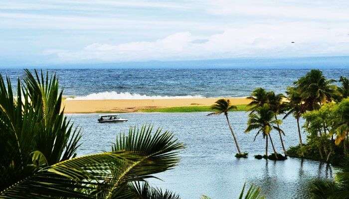 The estuary near Poovar beach in Kerala