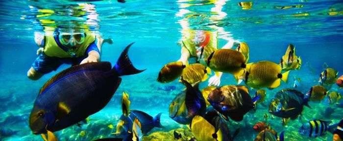 Snorkeling in Mauritius