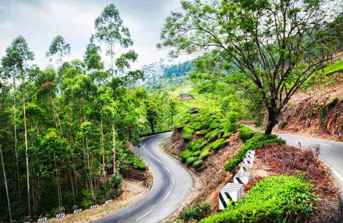 The spiral track of the highway from Chennai to Munnar