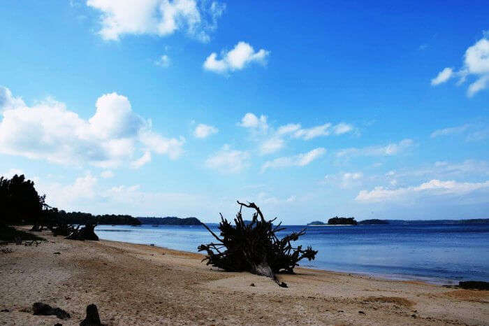 The rugged shores of Wandoor Beach