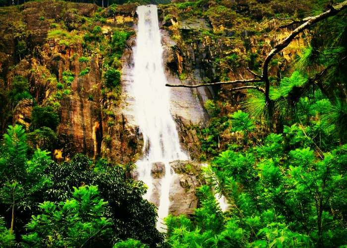 Bambarakanda Falls is the highest waterfall in Sri Lanka