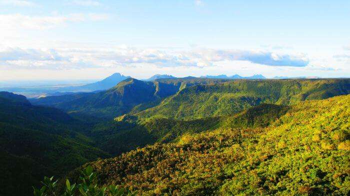 Enchanting mountains at Black River Gorges National Park covered in a blanket of greenery