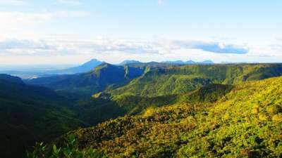 Enchanting mountains at Black River Gorges National Park covered in a blanket of greenery