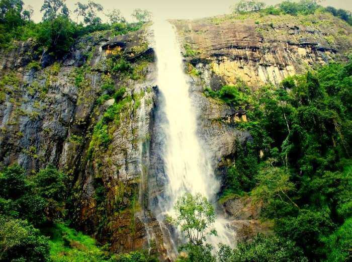 Diyaluma Falls is the 2nd highest waterfall in Sri Lanka